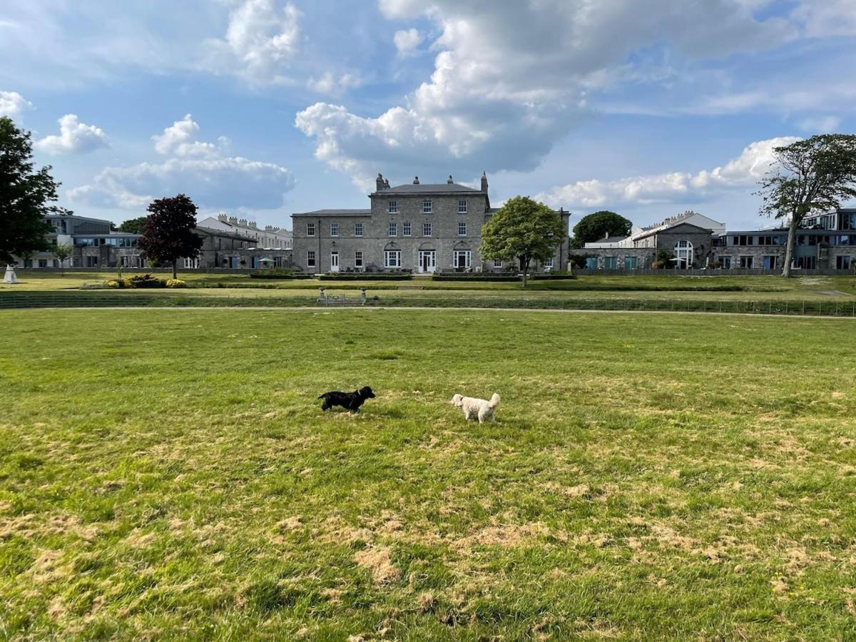 3 Bed- The Pavilion By Pureserviced Plymouth Exterior foto
